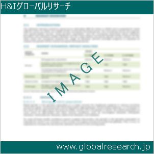 グローバルリサーチ調査レポートのイメージ